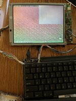 IMG_3923.jpeg IMG_3923.jpeg
