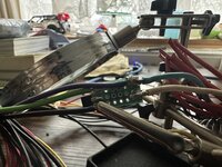 IMG_2709.jpeg