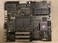 IMG_6952.jpeg