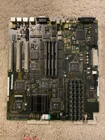 IMG_6981.jpeg