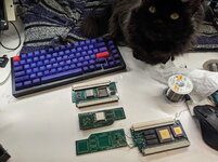 1709218886621.jpeg