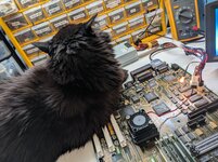 1709219148975.jpeg