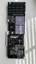 IMG_3520.jpeg