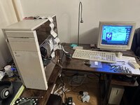 IMG_2727.jpeg