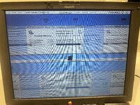 IMG_4537.jpeg