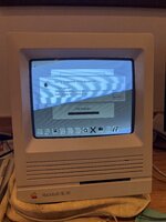 IMG_6082.jpeg