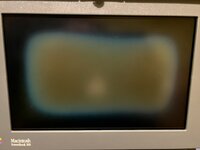 IMG_0050.jpeg