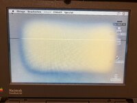 IMG_0049.jpeg