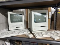 IMG_3080.jpeg
