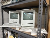 IMG_3083.jpeg