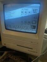 IMG_0719.jpeg