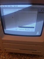 IMG_0725.jpeg
