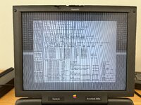 IMG_9073.jpeg