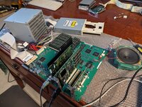 PXL_20240324_151102252.jpg