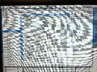 24-03-29 07-08-25 2584.jpg