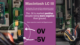 lciii backward caps.png