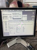 IMG_9035.jpeg