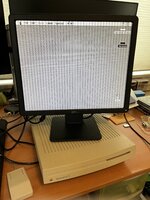 IMG_1959.jpeg