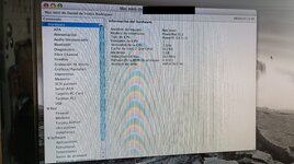 IMG_20240408_125953.jpg IMG_20240408_125953.jpg