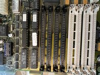 IMG_1106.jpeg