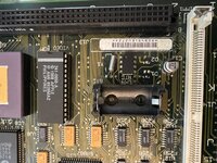 IMG_1108.jpeg