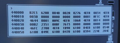 1000017669.jpg