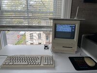 IMG_9372.JPG