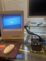 IMG_1304.jpeg