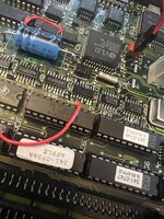 IMG_1307.jpeg