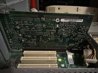 IMG_1395.jpeg