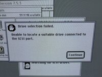 IMG_0735 Medium.jpeg