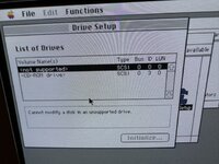 IMG_0734 Medium.jpeg