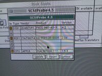 IMG_0736 Medium.jpeg