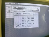 WhatsApp Image 2024-05-14 at 12.18.38.jpeg