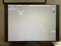 IMG_9306.jpeg