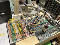 IMG_5130.jpeg