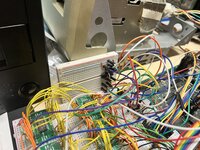 IMG_5131.jpeg