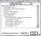 Who we lovingly call Elmer.GIF