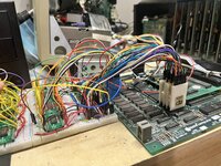 IMG_5149.jpeg