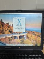 IMG_9914.jpeg