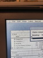 IMG_0308.jpeg