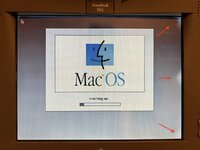 IMG_8158.JPG