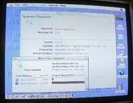 IMG_9284.jpeg