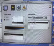 IMG_3565.jpeg