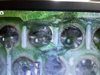 IMG_3573.jpeg