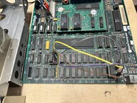 IMG_5760.jpeg