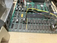 IMG_5784.jpeg