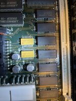 IMG_5241.jpeg