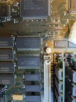 IMG_5242.jpeg