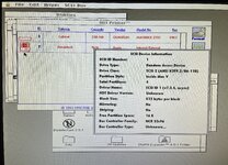 IMG_5255.jpeg